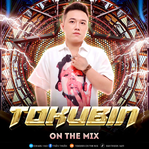 Nst HOT TIKTOK EM LÀ KHÔNG THỂ - TOKUBIN X VEE GET MIX