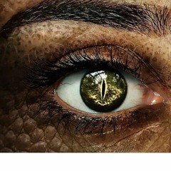 We Never Left - (Full Release)