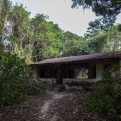 Deep In The Bush