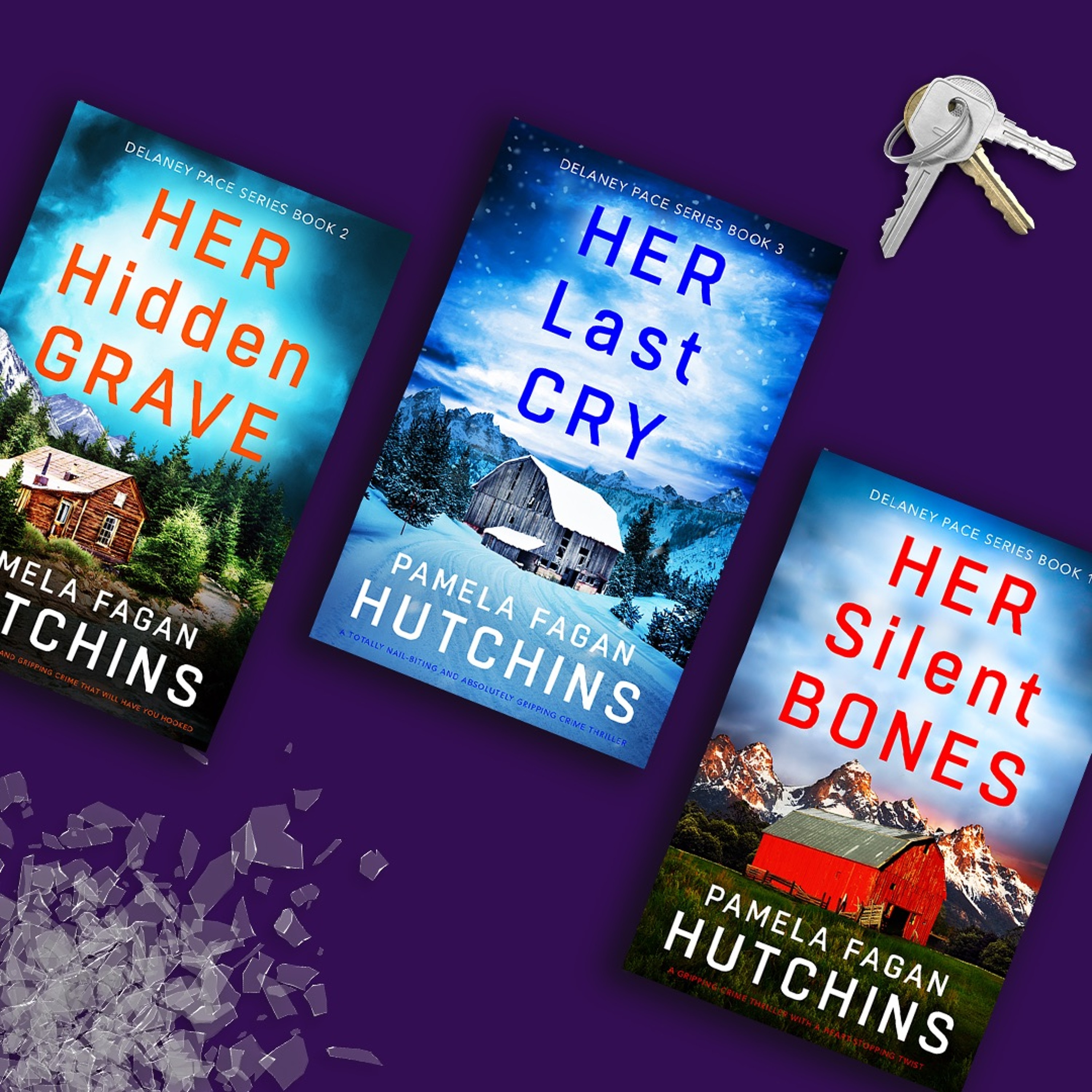 cover of episode Pamela Fagan Hutchins — Detective Delaney Pace Books 1- 3