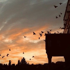 {وَعَلَى الثَّلَاثَةِ الَّذِينَ خُلِّفُوا. ..}  الشيخ عمرو الشرقاوي || من سورة التوبة