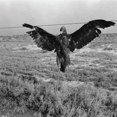 Sudden Afternoon w/ The Vital Node 09/10/25