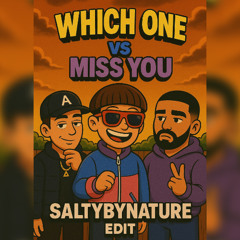 Which One vs Miss You (SaltyByNature Edit)