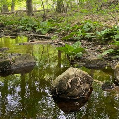 Ready Or Not (Aaron Kane/Freezing Jesus) [iPhone Demo]