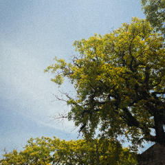 ambient type - one day