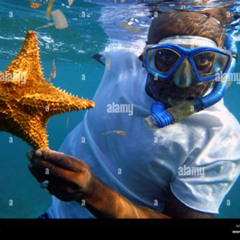 Best Snorkeling In Central America Prices Reviews