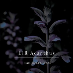 LiR Acanthus (Rigel_Wired&Lemen)