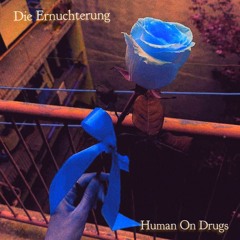 Die Ernuchterung (Mastered)