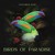 Artwork for Birds of Paradise