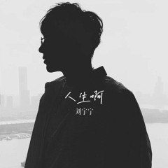 人生啊 | Life【八零九零OST】- 摩登兄弟刘宇宁