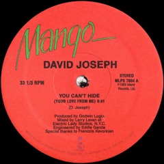 You Cant Hide (Your Love From Me) Remix