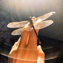 Going This Way The Signalman