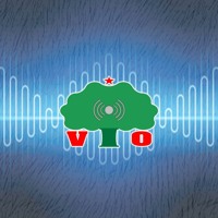 VIO