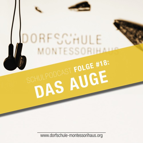 #18 Das Auge - Dorfschule Montessorihaus