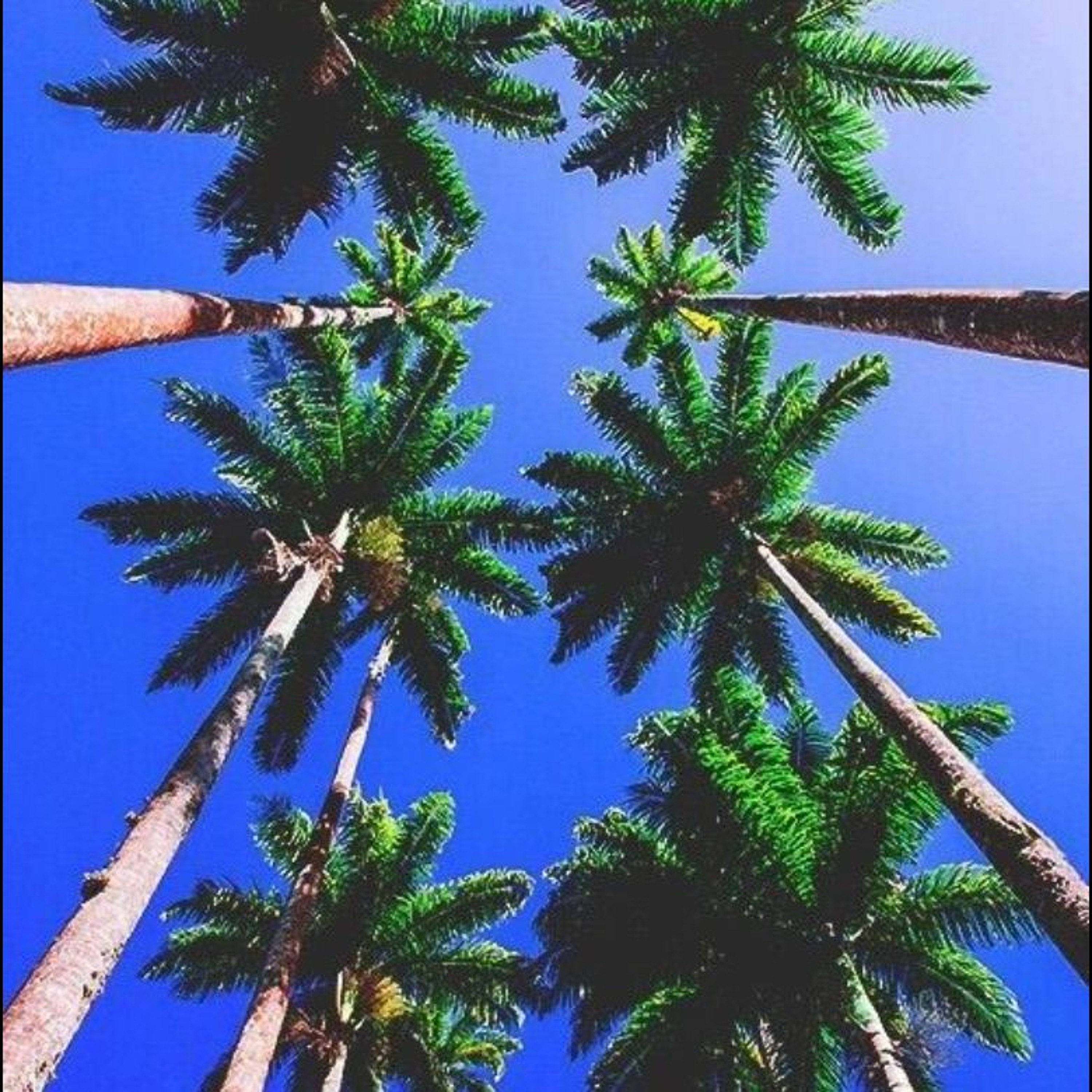 [FREE] XXXTentacion x Mac Miller Type Beat 2021 - "First Class" episode artwork