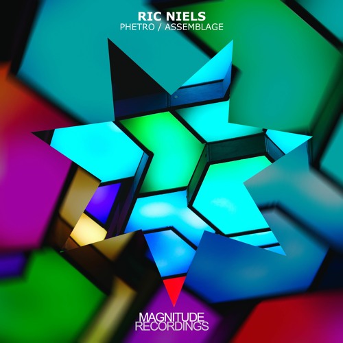 Ric Niels - Assemblage
