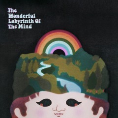 The Wonderful Labyrinth