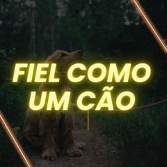 Fiel Como um Cão