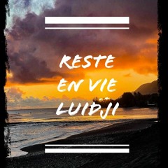 Reste En Vie - Luidji