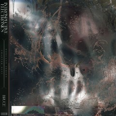 Podcast Series 46 | Introspective Electronics x Bodily • Bruce