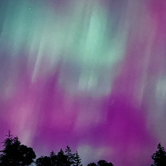 Trudging within (the gravity)