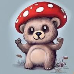 Techno Teddy@ Mushroom Valley Festival
