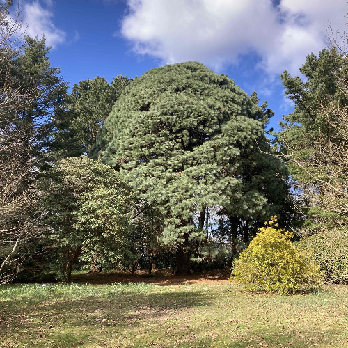 mmmarsh - 27/03/2025