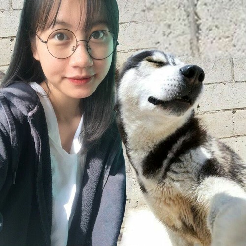 "này anh ơi", một bài hát của anh Tùng