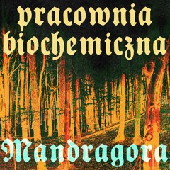 Pracownia biochemiczna - Mandragora