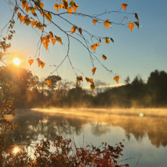 Nine to Five (Jam Tape)