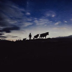A Shepherds Life - Teaser