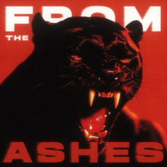 FROM THE ASHES