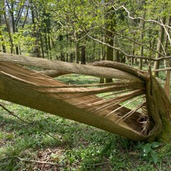 splintering