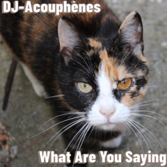DJ-Acouphènes - What are you Saying