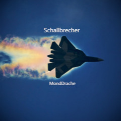 Sound Breaker / Schallbrecher