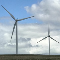 Strong communities hinder green projects