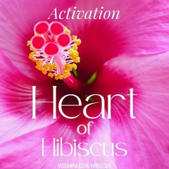 Hibiscus Soundbath: Activation