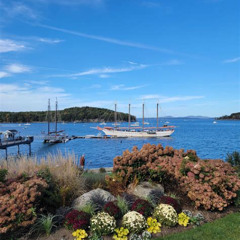Review Special Price 2-Hour Windjammer Sailing Trip In Maine With Licensed Captain