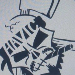 HALO RAP HAVIC