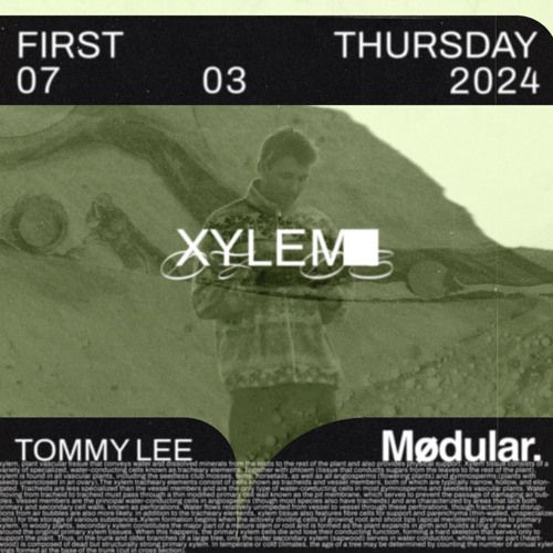 XYLEM - 10/12 Tom Lee @ MODULAR 07/03/24