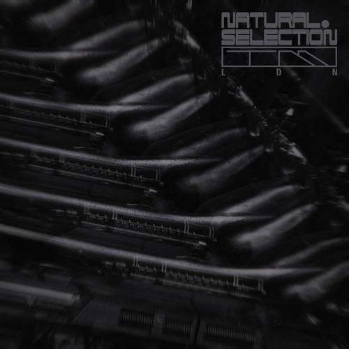 Radiance EP [Natural Selection]