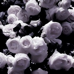 はじめてが欲しかった【original】p.HANEDA