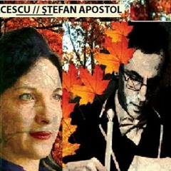 Emisiuni Stefan Apostol & Magda Bacescu