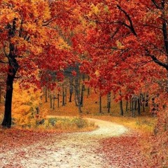 October 25/25 sample track