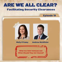 What Are Joint Ventures and When Should They Get Cleared?