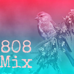 808 mix