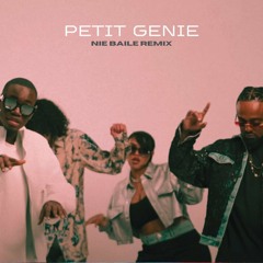 Petit Génie (NIE Baile Remix)