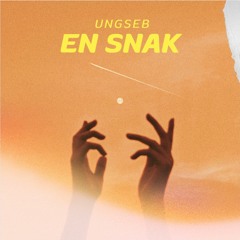 en snak. ft PIS
