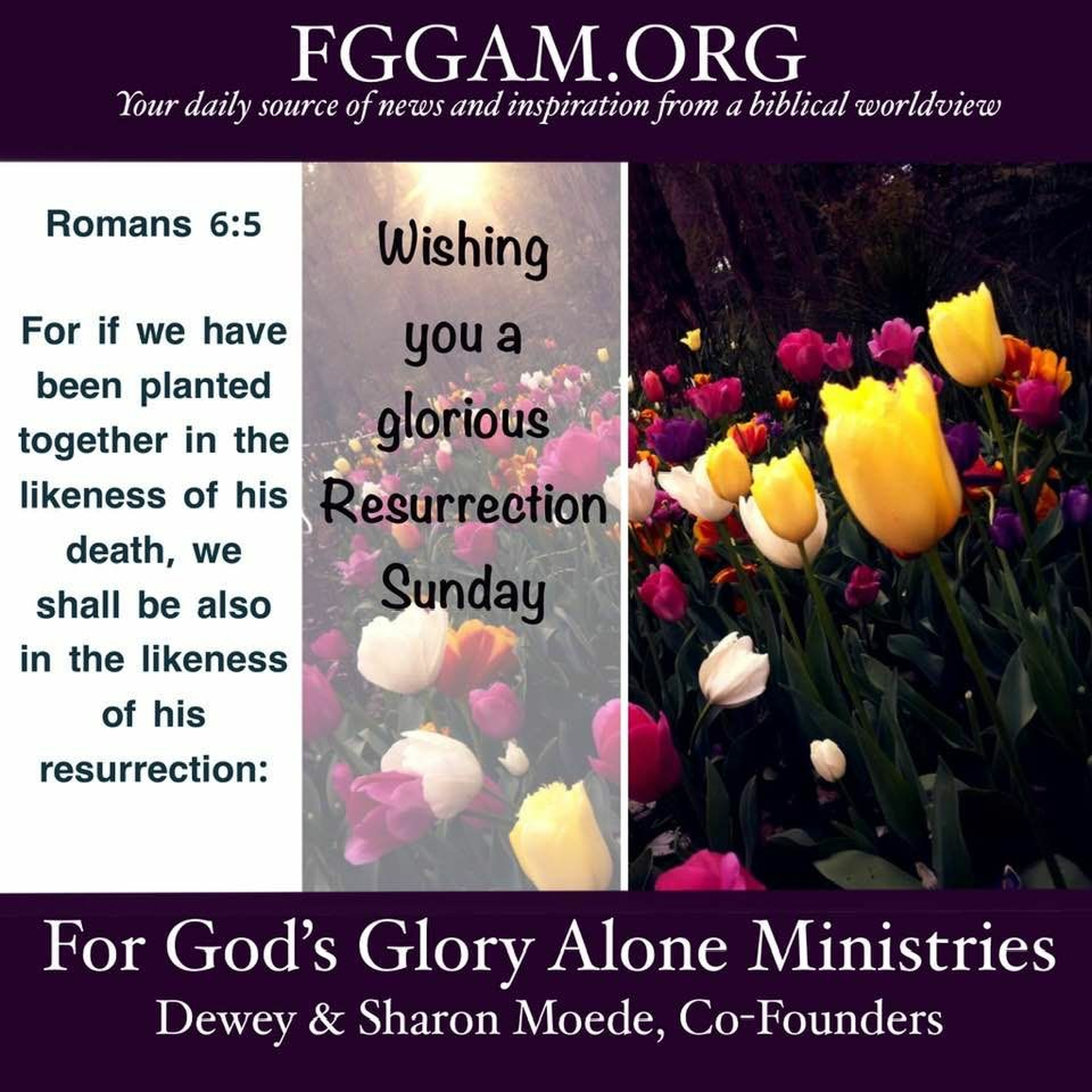 House Of Hope April 12 2020