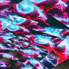 REDRUM !!! Ft. Japones